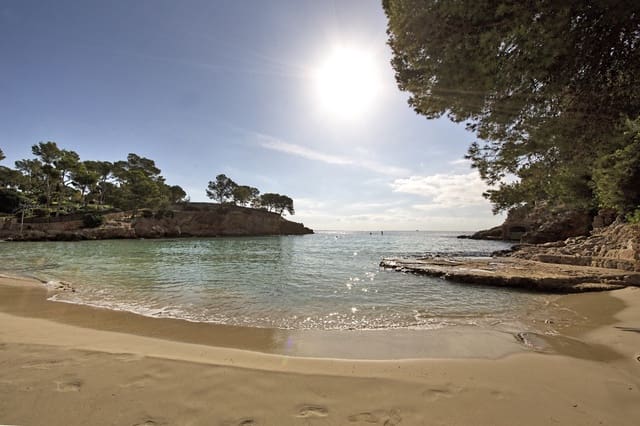 2 makuuhuone Huoneisto vuokrattavana paikassa Portals Nous, Calvià - 2 450 € (Ref: 8195830)