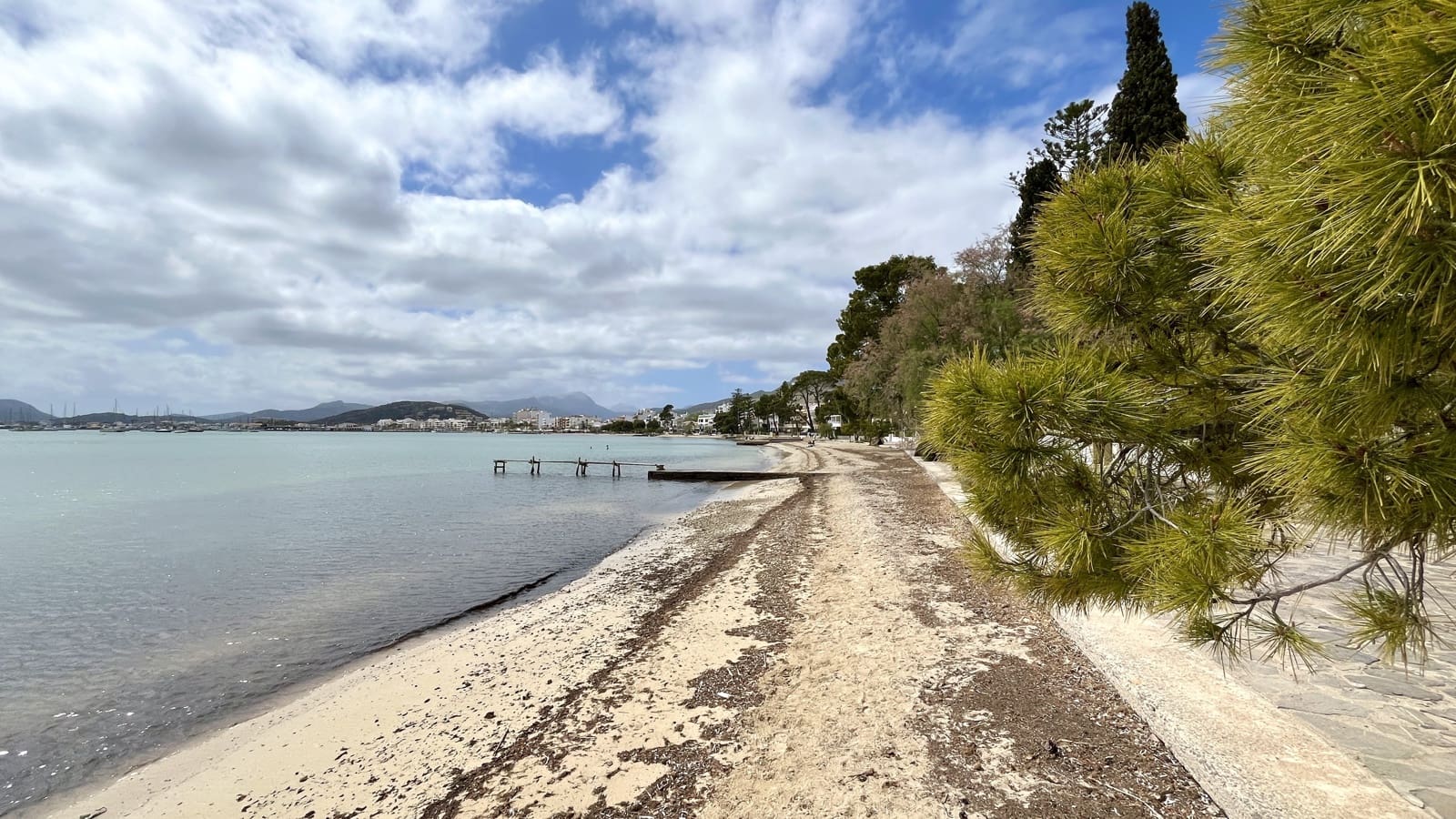 2 soveværelse Lejlighed til leje i Pollensa / Pollenca - € 1.800 (Ref: 8215255)