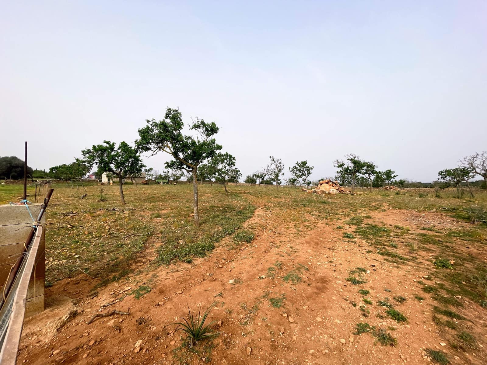 Building Plot for sale in Santa Margalida - € 1,350,000 (Ref: 8239659)