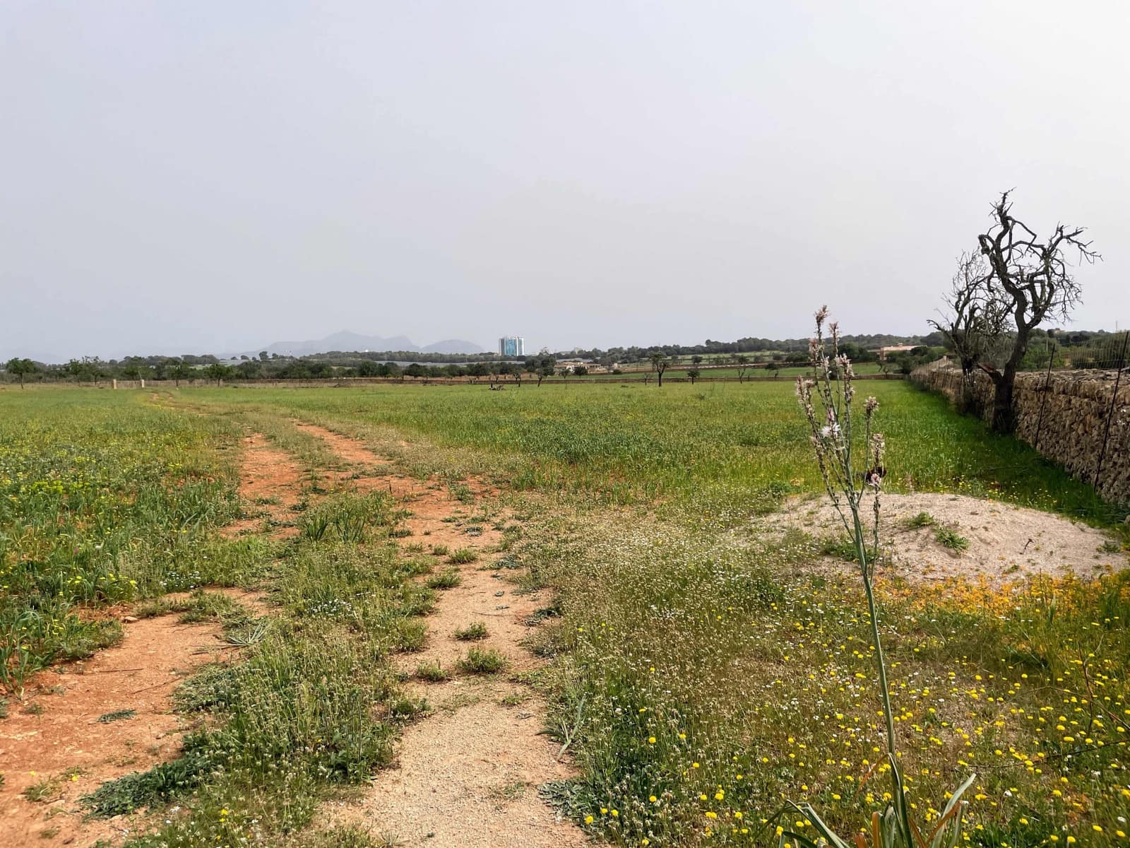 Building Plot for sale in Santa Margalida - € 1,350,000 (Ref: 8239659)