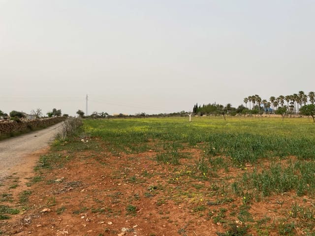 Building Plot for sale in Santa Margalida - € 1,350,000 (Ref: 8239659)