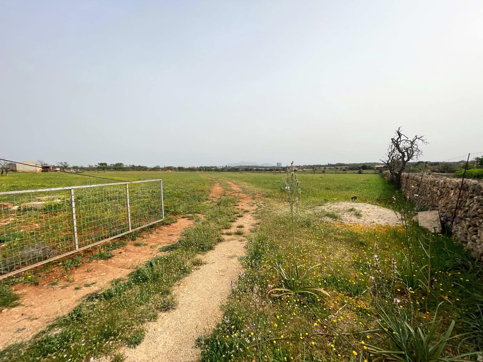 Building Plot for sale in Santa Margalida - € 1,350,000 (Ref: 8239659)