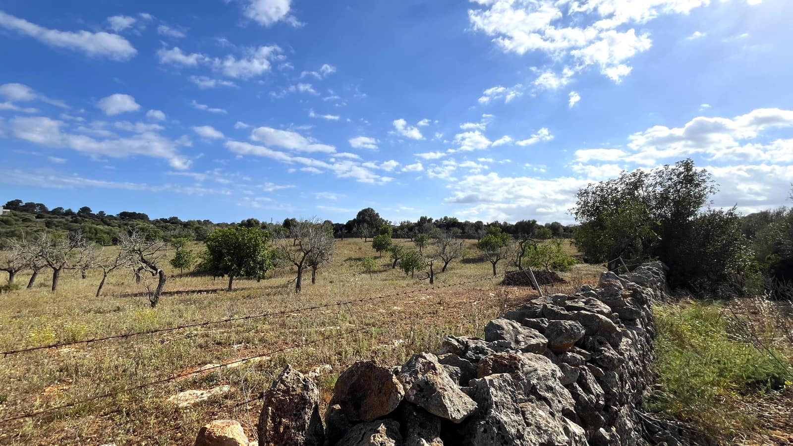 Building Plot for sale in Manacor - € 350,000 (Ref: 8244520)