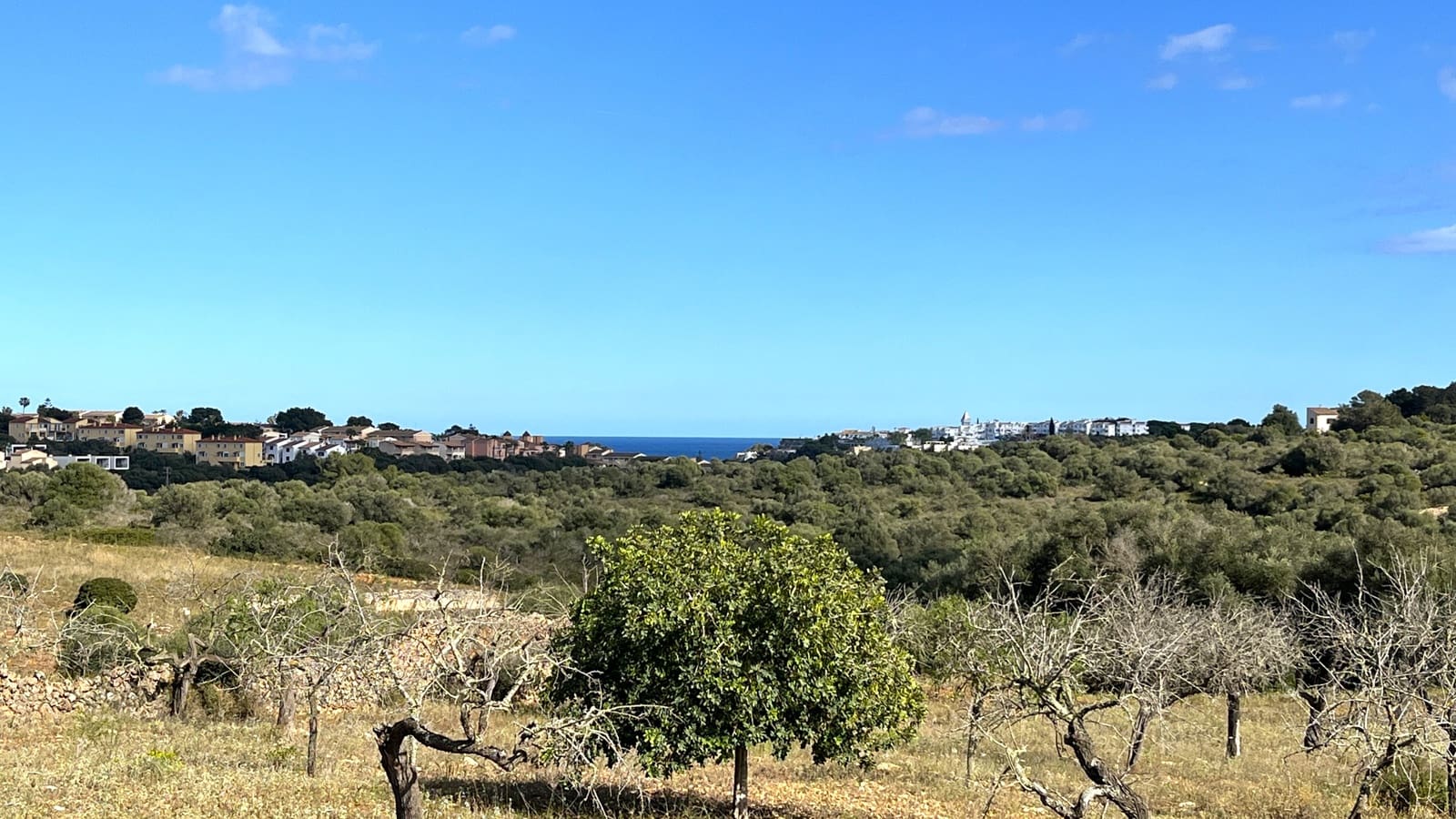 Building Plot for sale in Manacor - € 350,000 (Ref: 8244520)