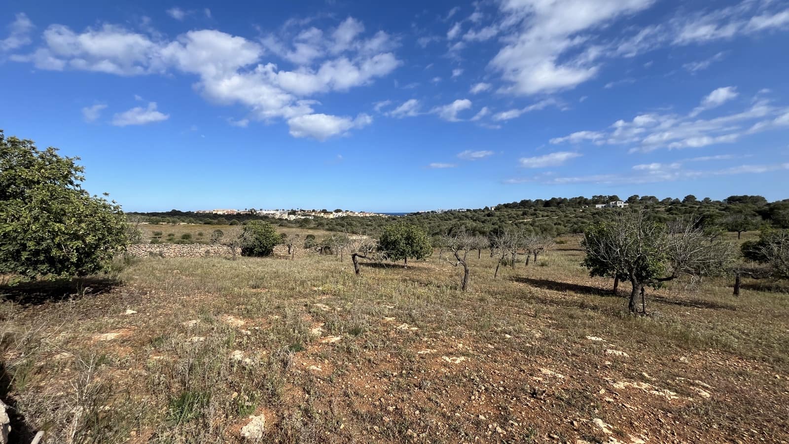 Building Plot for sale in Manacor - € 350,000 (Ref: 8244520)