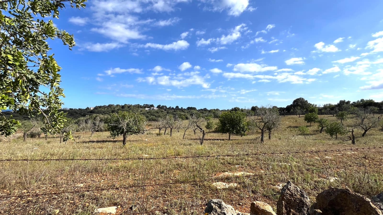 Building Plot for sale in Manacor - € 350,000 (Ref: 8244520)