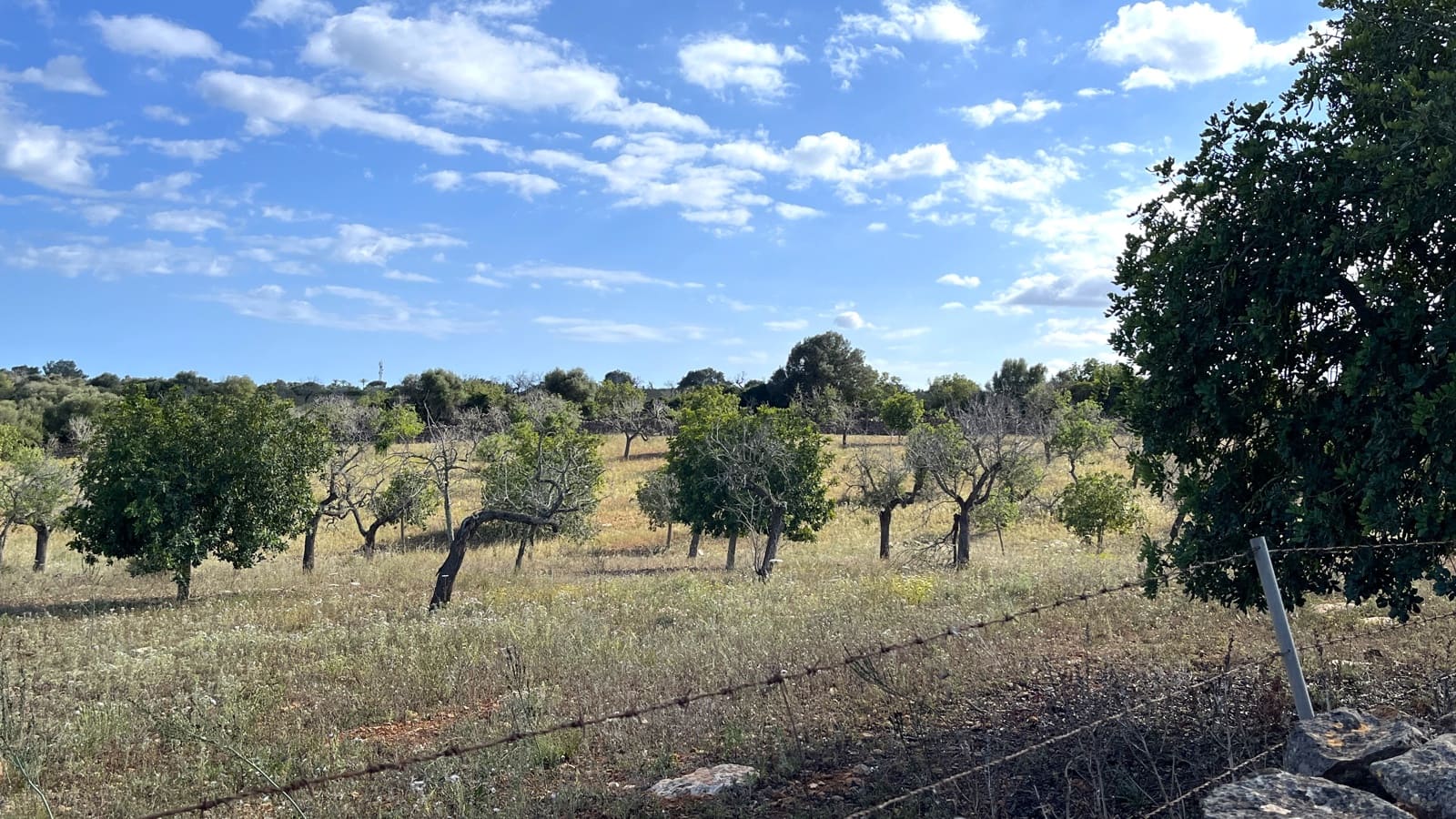 Building Plot for sale in Manacor - € 350,000 (Ref: 8244520)