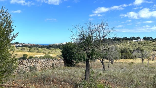 Byggegrund til salg i Manacor - € 350.000 (Ref: 8244520)