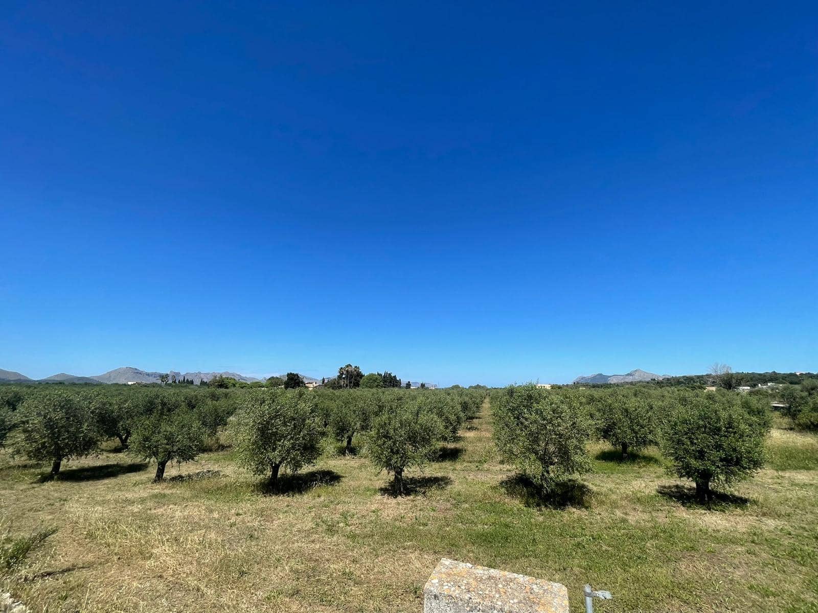 Tontti myytävänä paikassa Alcudia - 950 000 € (Ref: 8286058)