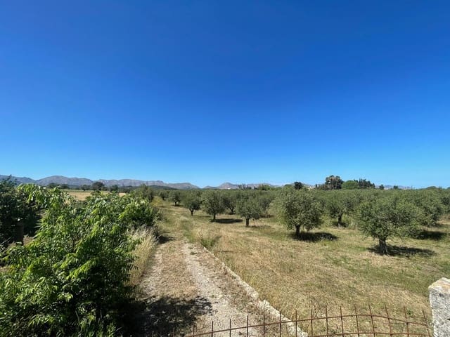 Tontti myytävänä paikassa Alcúdia - 950 000 € (Ref: 8286058)