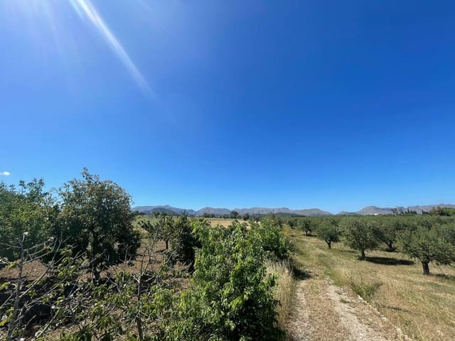 Tontti myytävänä paikassa Alcúdia - 950 000 € (Ref: 8286058)