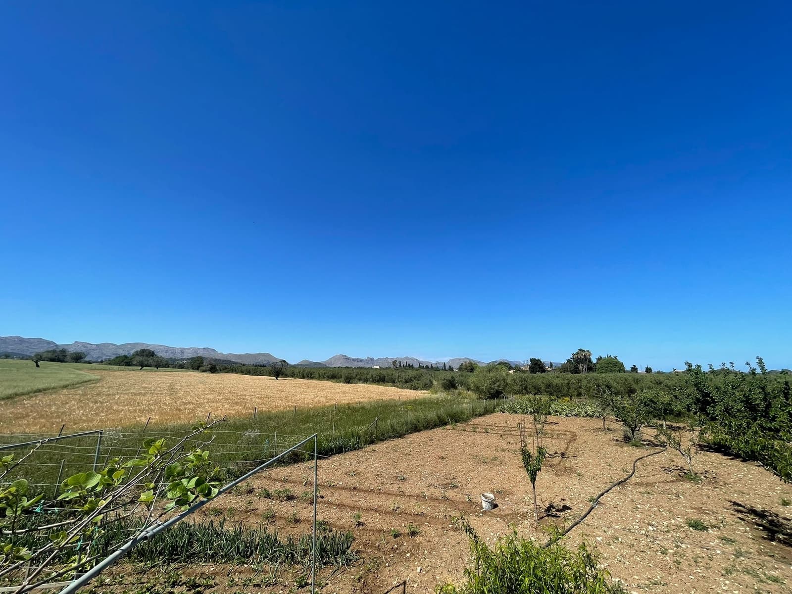 Tontti myytävänä paikassa Alcudia - 950 000 € (Ref: 8286058)