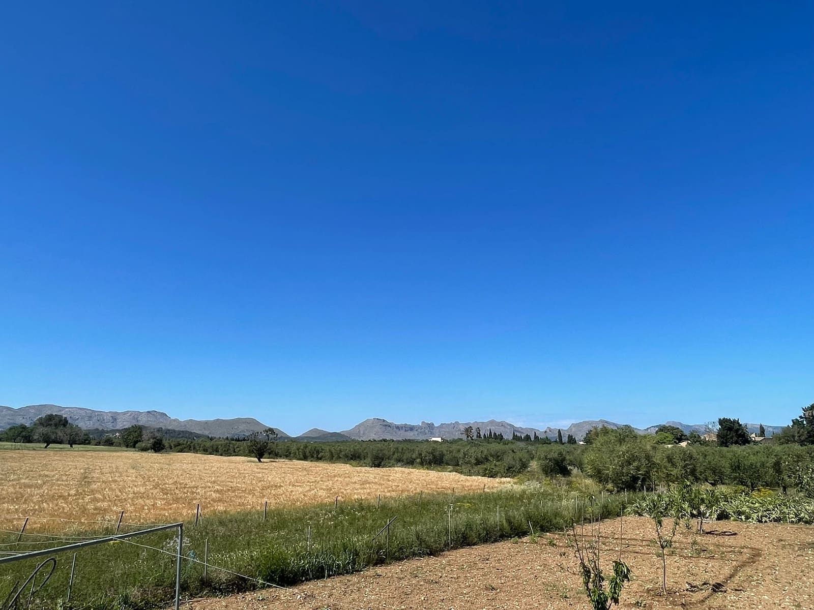 Tontti myytävänä paikassa Alcudia - 950 000 € (Ref: 8286058)