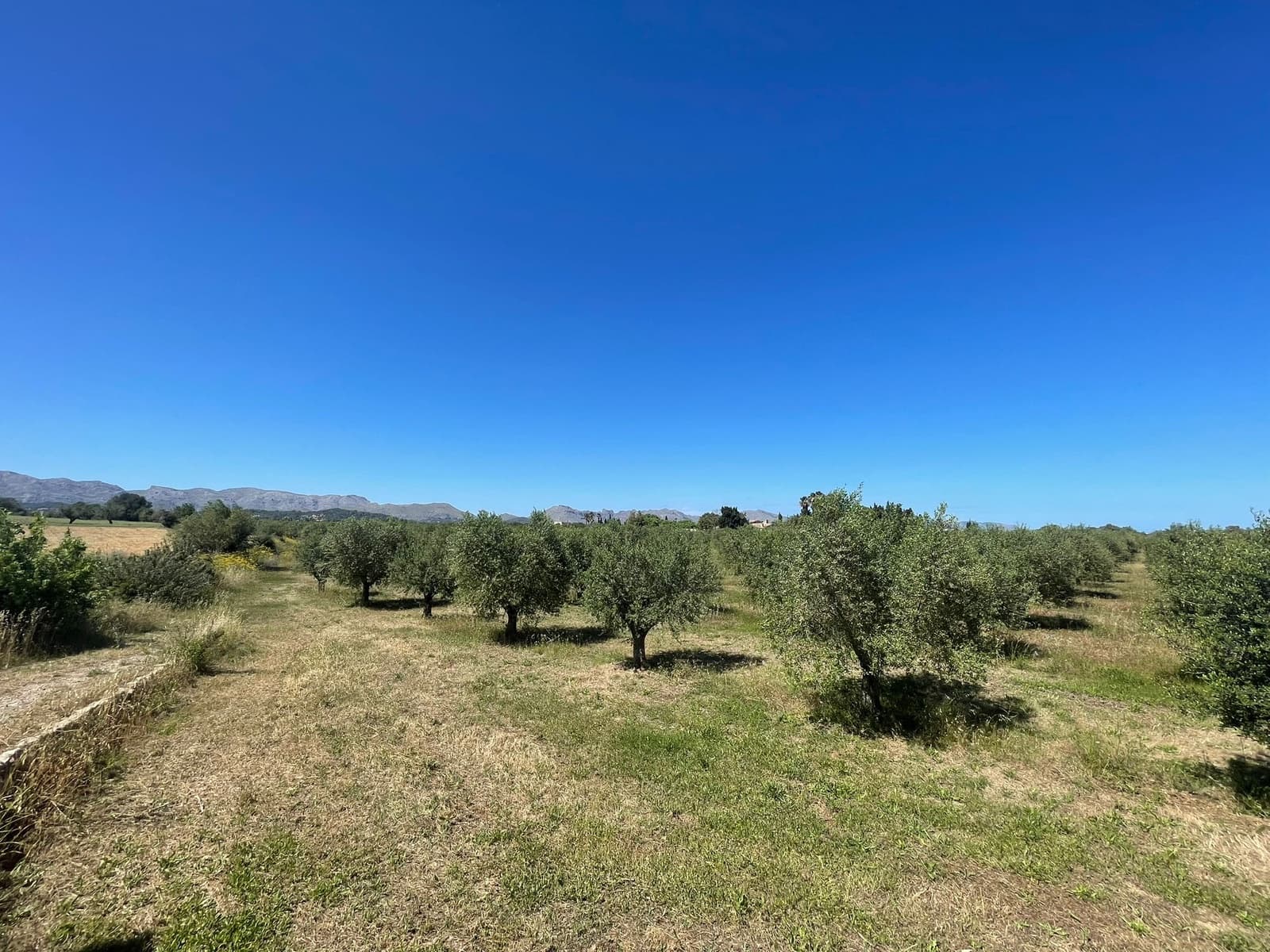 Tontti myytävänä paikassa Alcudia - 950 000 € (Ref: 8286058)