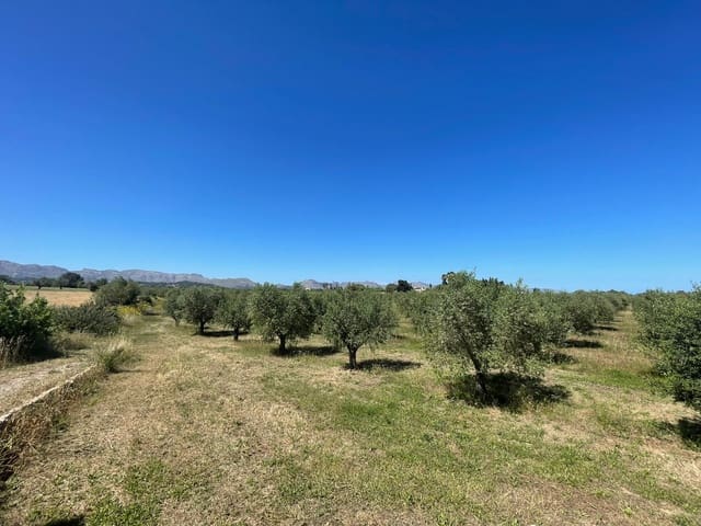 Tontti myytävänä paikassa Alcúdia - 950 000 € (Ref: 8286058)