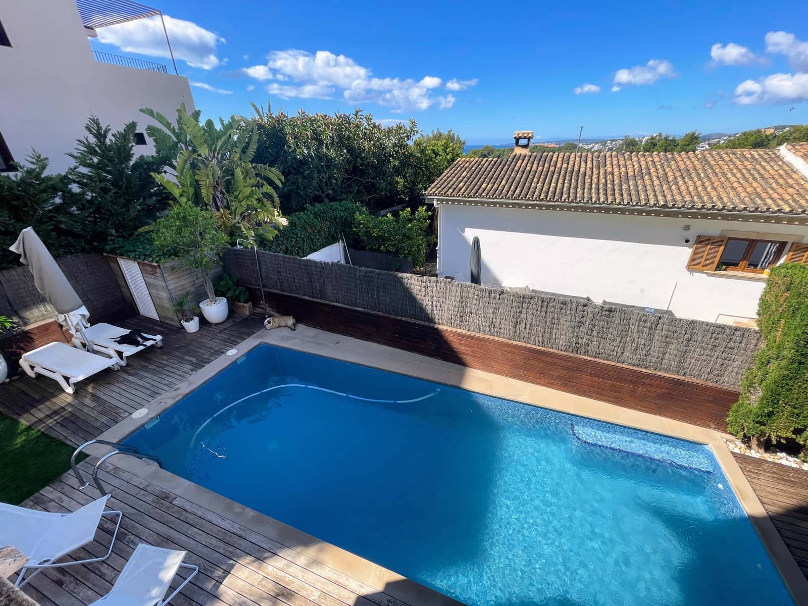 5 soveværelse Lejlighed til salg i Palma de Mallorca med swimmingpool garage - € 1.900.000 (Ref: 8295305)