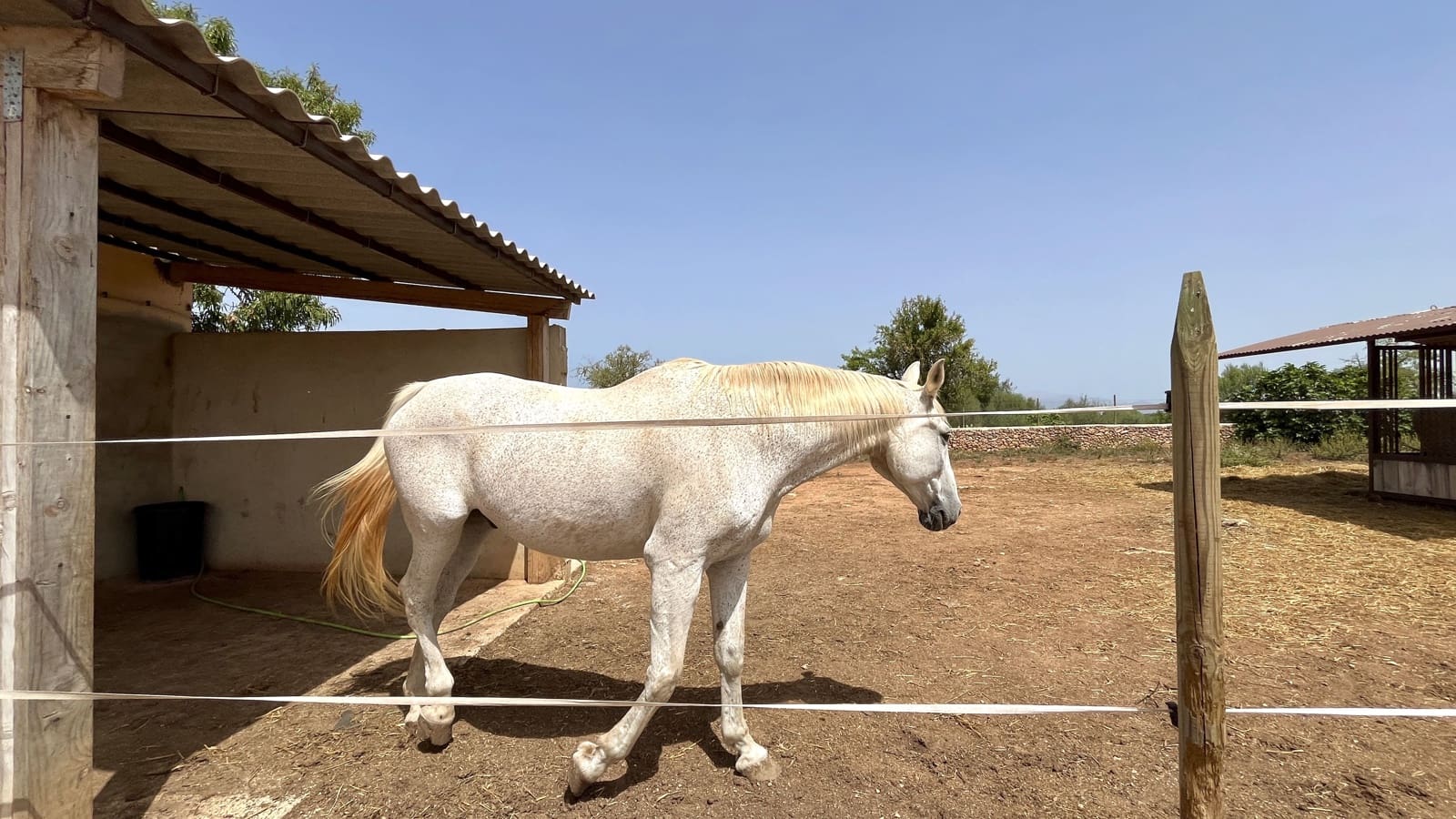 Villa/Maison Semi-Mitoyenne de 1 chambre à louer à Algaida avec piscine garage - 1 680 € (Ref: 8382051)