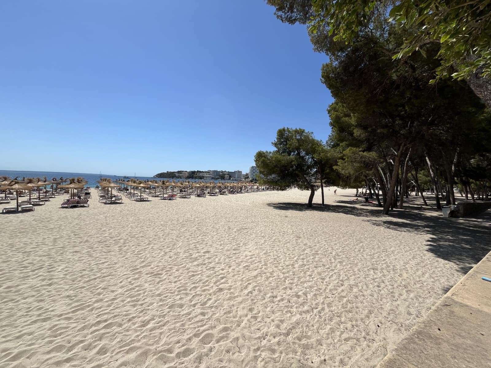 1 bedroom Apartment for rent in Palmanova - € 1,900 (Ref: 8402201)