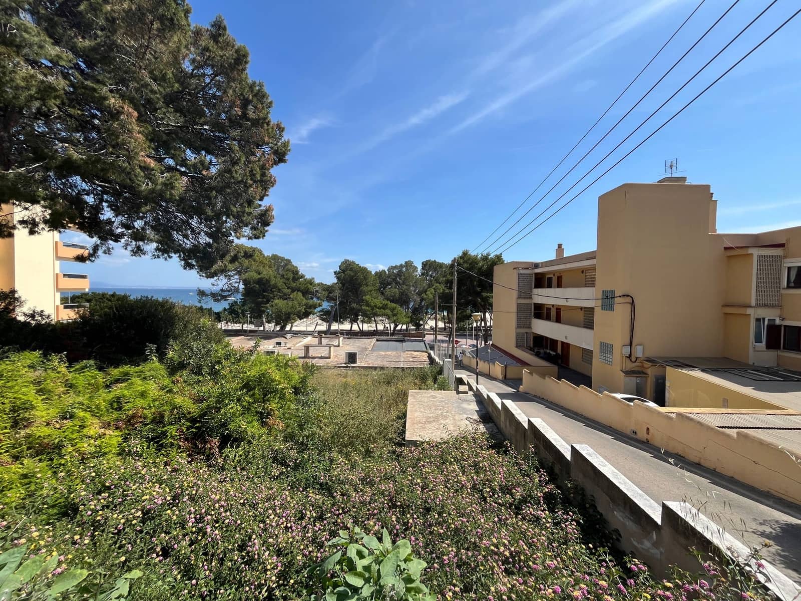 1 bedroom Apartment for rent in Palmanova - € 1,900 (Ref: 8402201)