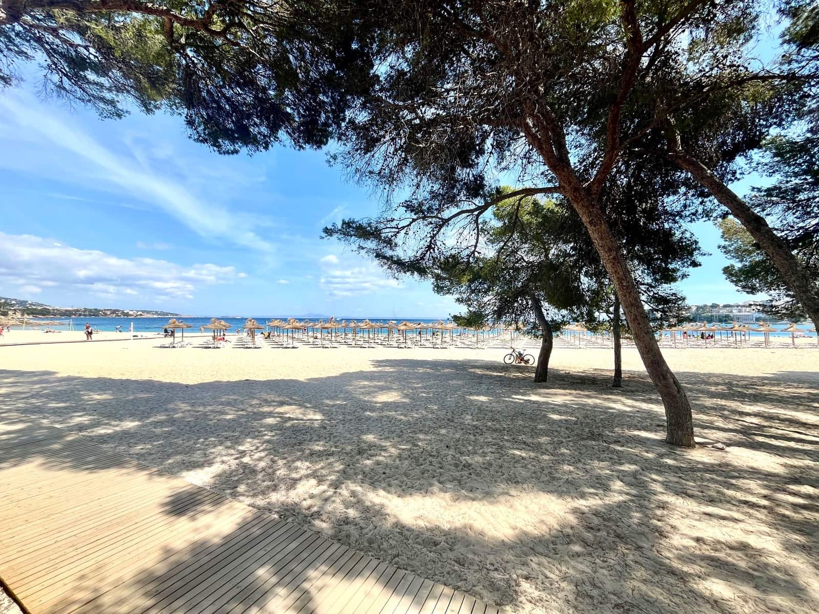 1 bedroom Apartment for rent in Palmanova - € 1,900 (Ref: 8402201)