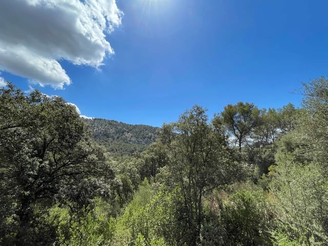 Building Plot for sale in Sa Pobla - € 350,000 (Ref: 8406262)