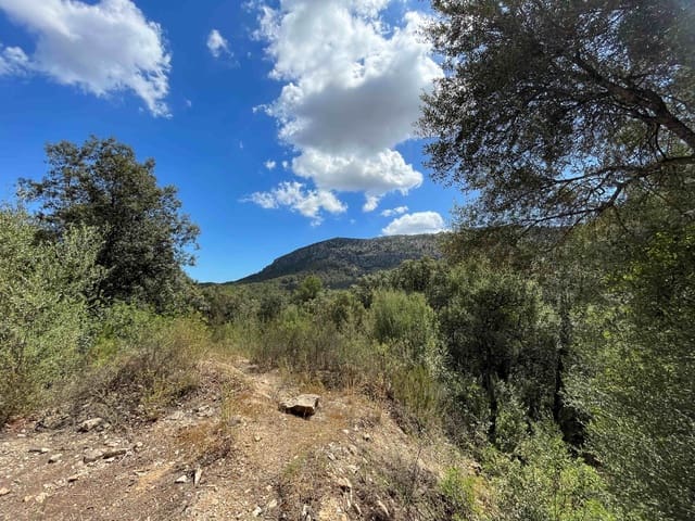 Building Plot for sale in Sa Pobla - € 350,000 (Ref: 8406262)