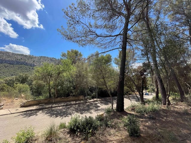 Building Plot for sale in Sa Pobla - € 350,000 (Ref: 8406262)