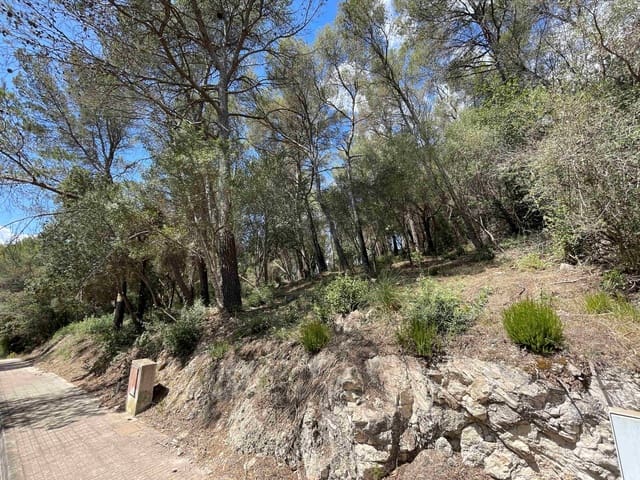 Building Plot for sale in Sa Pobla - € 350,000 (Ref: 8406262)
