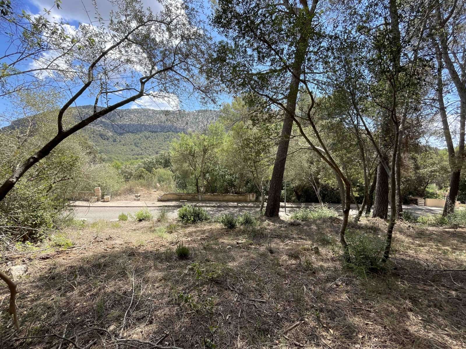 Byggetomt til salgs i Sa Pobla - € 350 000 (Ref: 8406262)