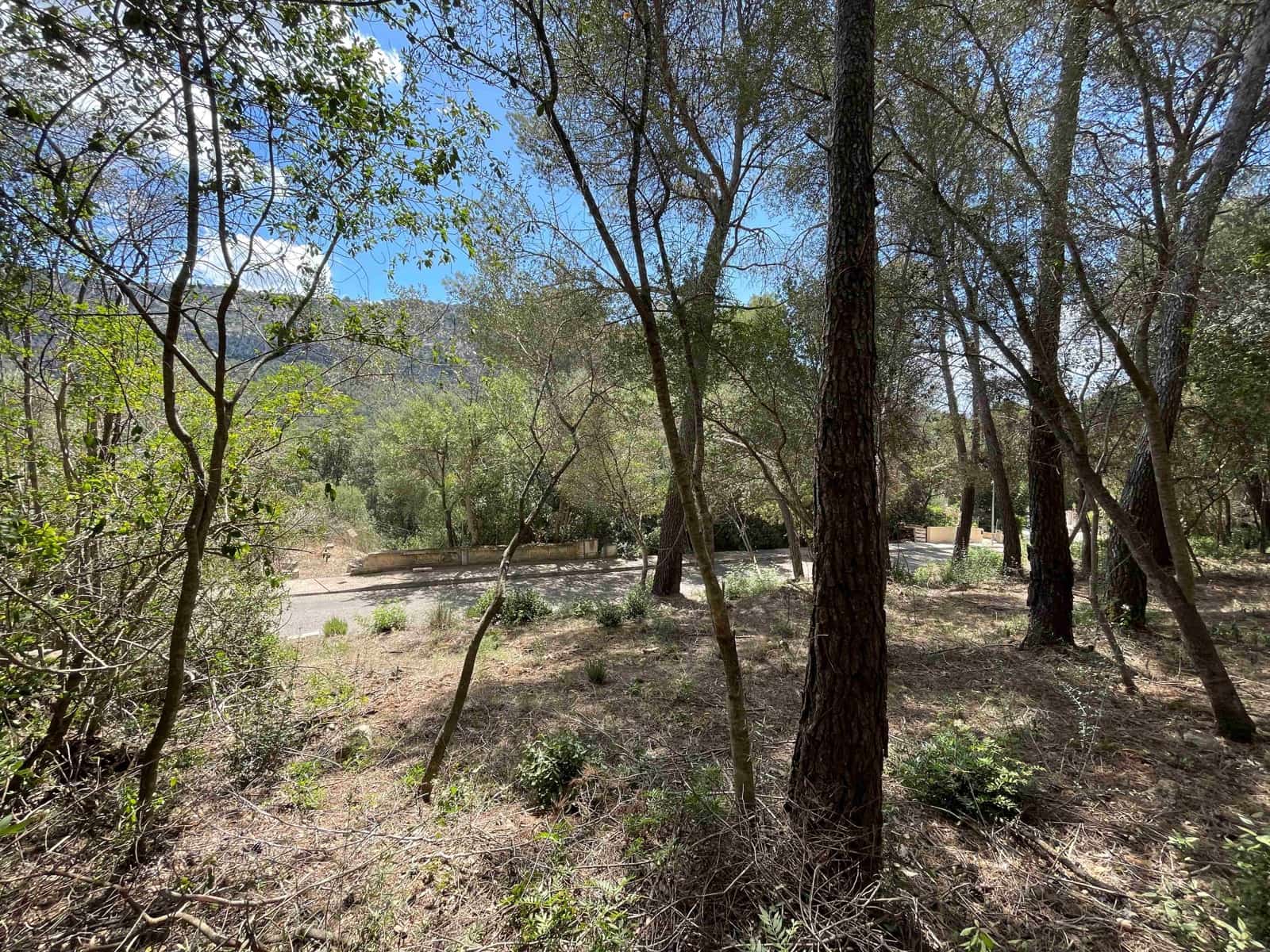 Byggetomt til salgs i Sa Pobla - € 350 000 (Ref: 8406262)