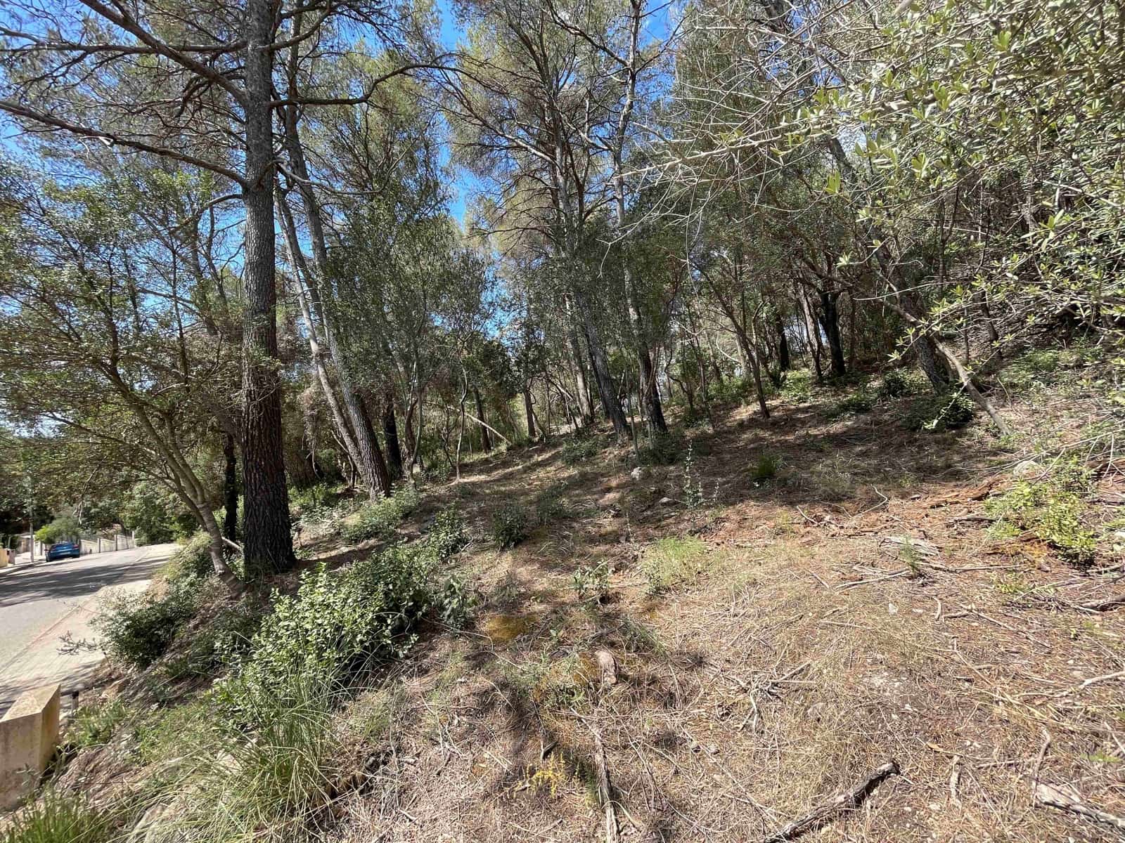 Byggetomt til salgs i Sa Pobla - € 350 000 (Ref: 8406262)