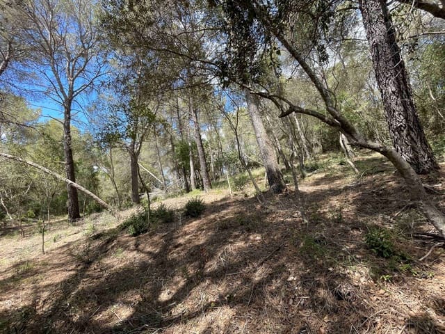 Building Plot for sale in Sa Pobla - € 350,000 (Ref: 8406262)