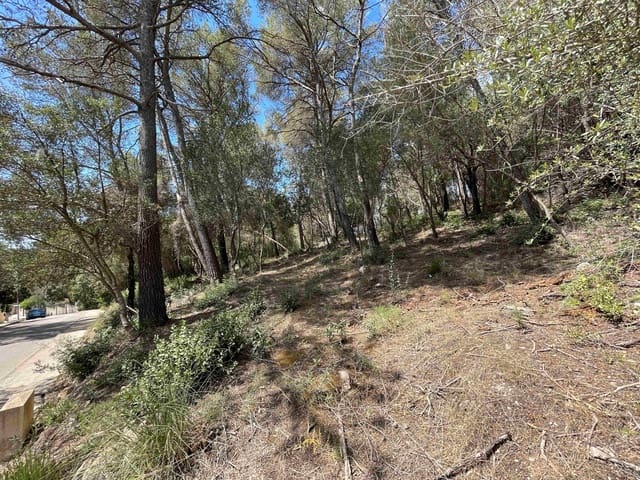 Building Plot for sale in Sa Pobla - € 350,000 (Ref: 8406262)