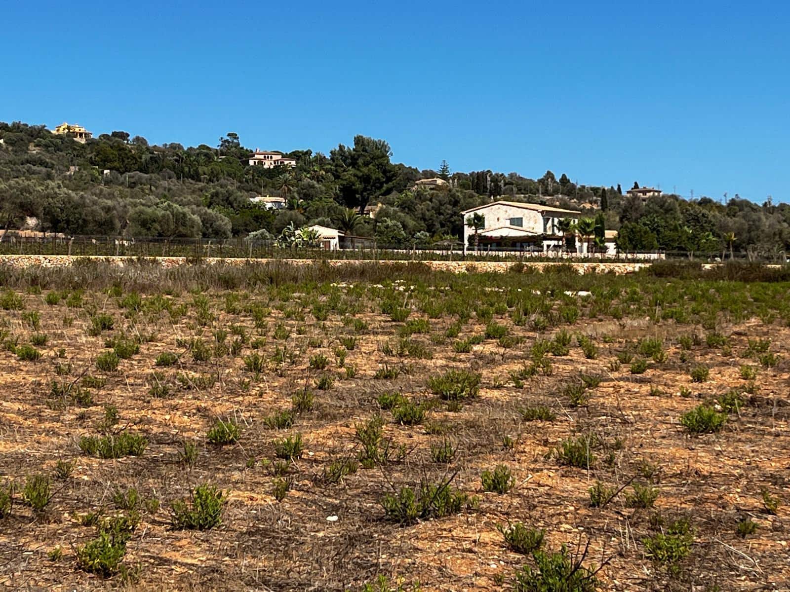 Byggegrund til salg i Cas Concos - € 1.500.000 (Ref: 8439816)