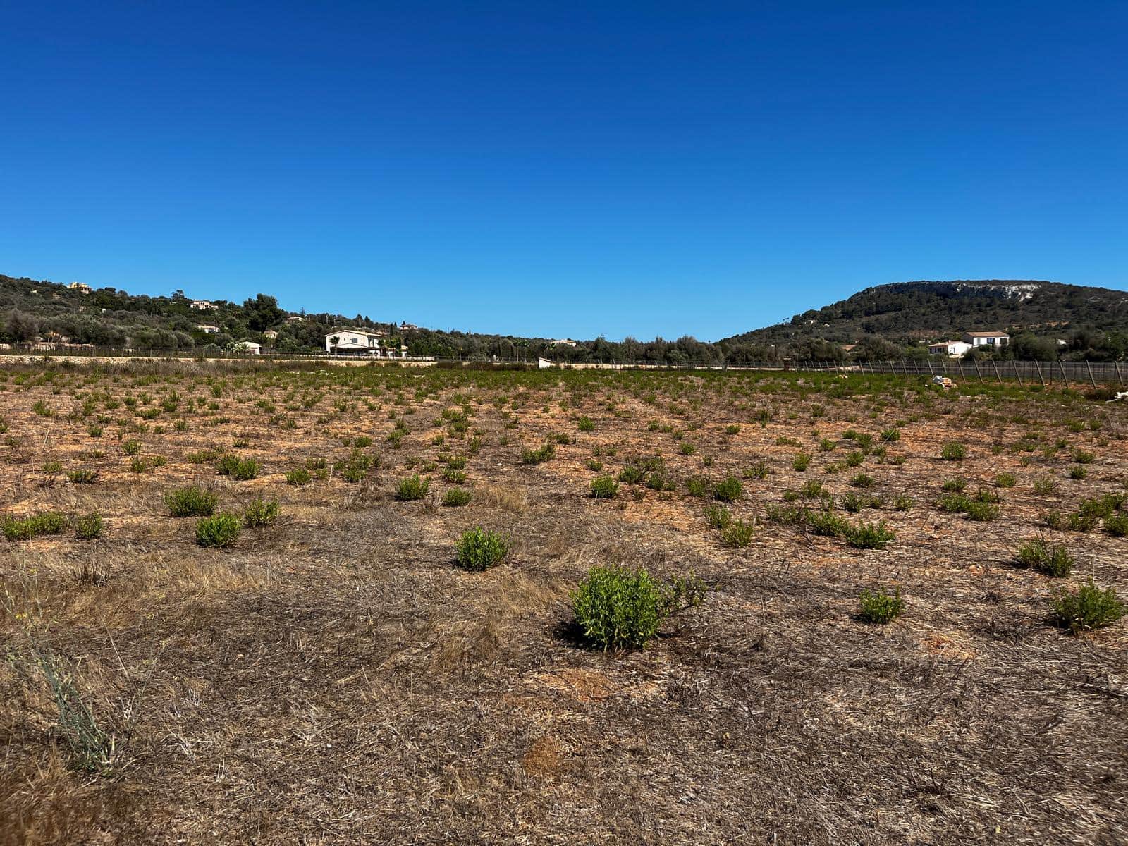 Byggegrund til salg i Cas Concos - € 1.500.000 (Ref: 8439816)