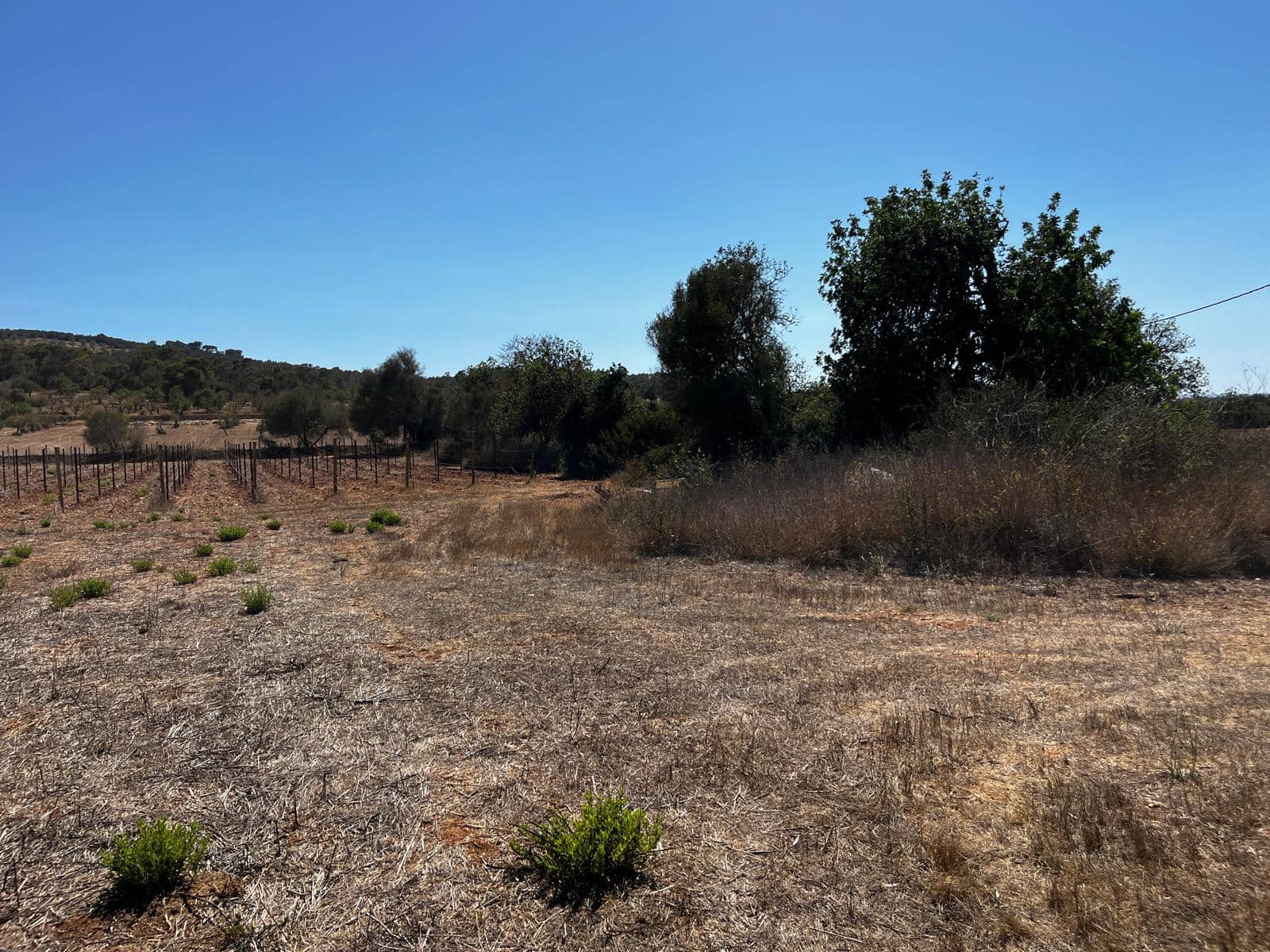 Byggegrund til salg i Cas Concos - € 1.500.000 (Ref: 8439816)