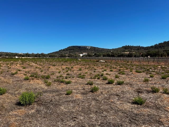 Terrain à Bâtir à vendre à Cas Concos, Felanitx - 1 500 000 € (Ref: 8439816)