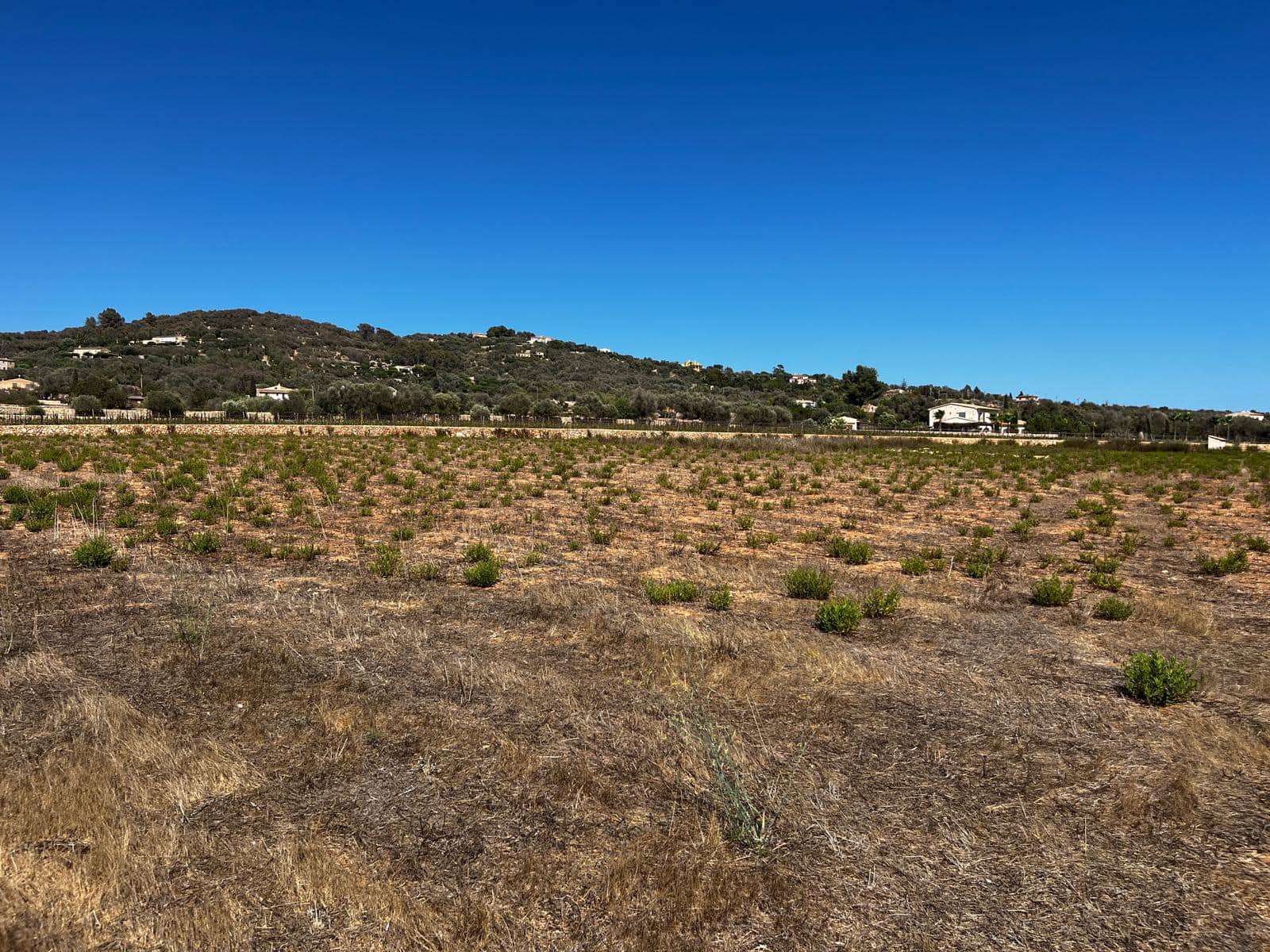 Byggegrund til salg i Cas Concos - € 1.500.000 (Ref: 8439816)