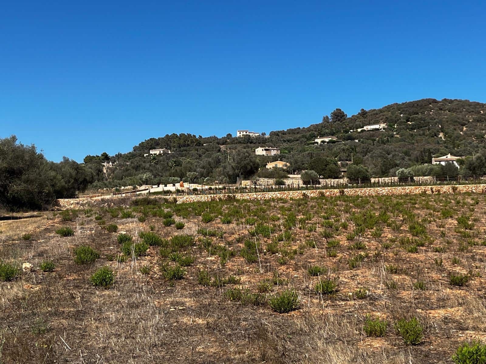 Byggegrund til salg i Cas Concos - € 1.500.000 (Ref: 8439816)