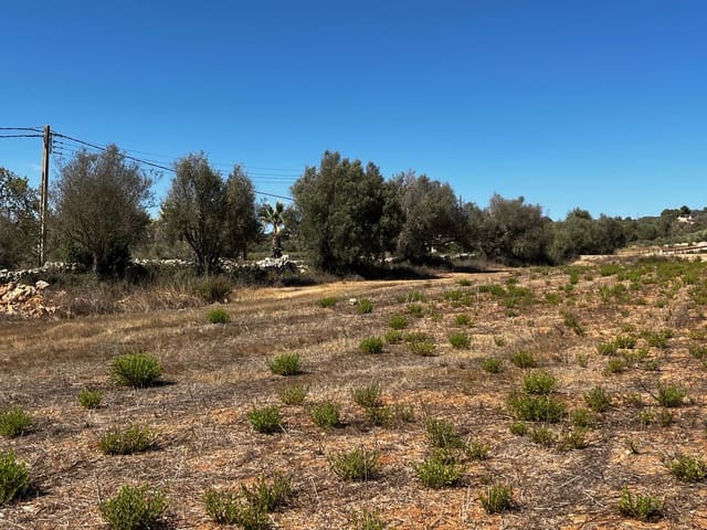 Terrain à Bâtir à vendre à Cas Concos, Felanitx - 1 500 000 € (Ref: 8439816)