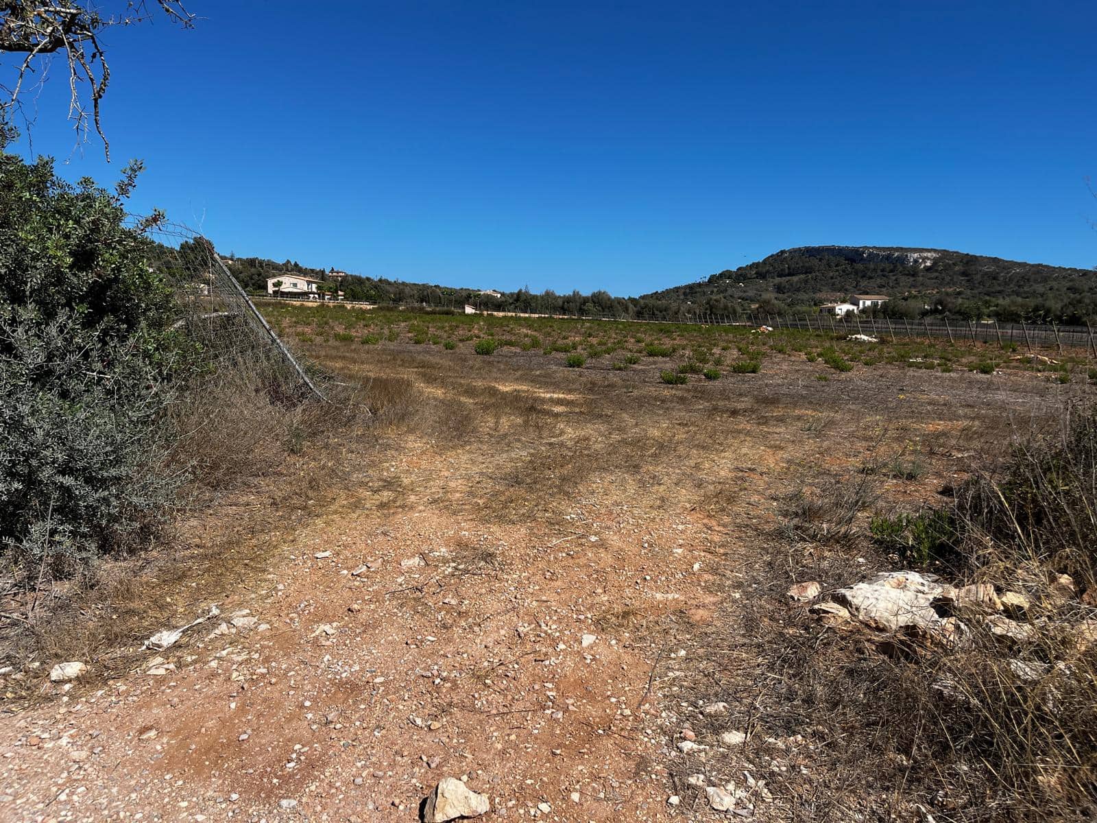 Byggegrund til salg i Cas Concos - € 1.500.000 (Ref: 8439816)