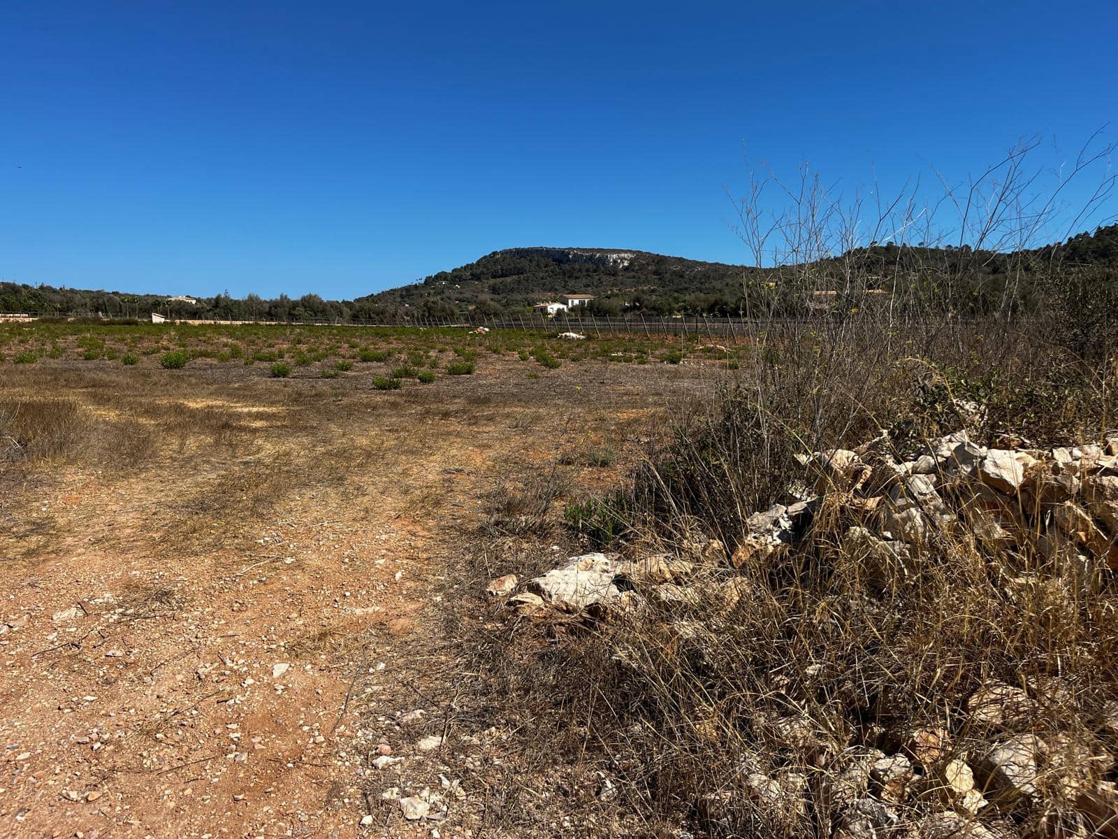 Byggegrund til salg i Cas Concos - € 1.500.000 (Ref: 8439816)
