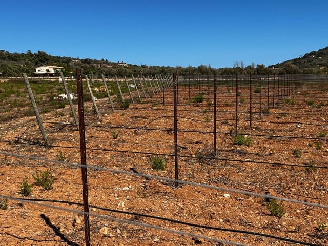 Terrain à Bâtir à vendre à Cas Concos, Felanitx - 1 500 000 € (Ref: 8439816)