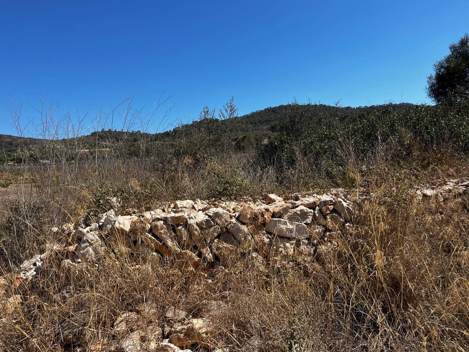 Byggegrund til salg i Cas Concos - € 1.500.000 (Ref: 8439816)