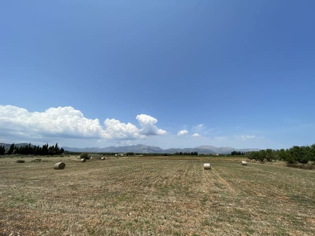 Building Plot for sale in Llubí - € 215,000 (Ref: 8451593)