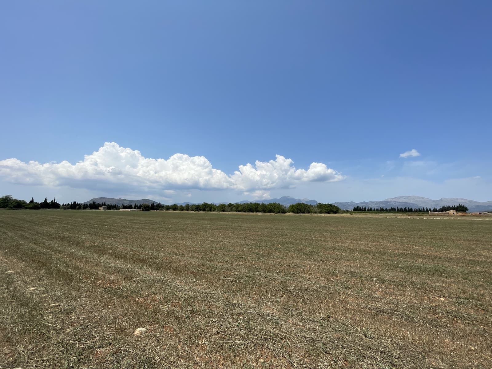 Byggegrund til salg i Llubi - € 215.000 (Ref: 8451593)