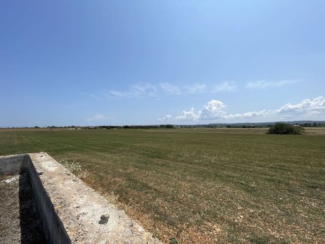 Building Plot for sale in Llubí - € 215,000 (Ref: 8451593)