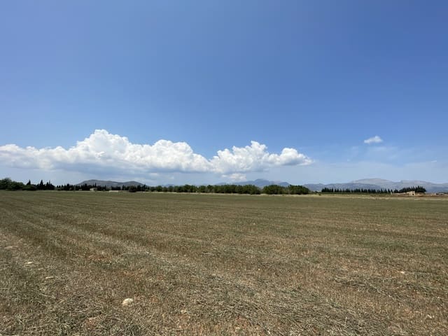 Building Plot for sale in Llubí - € 215,000 (Ref: 8451593)