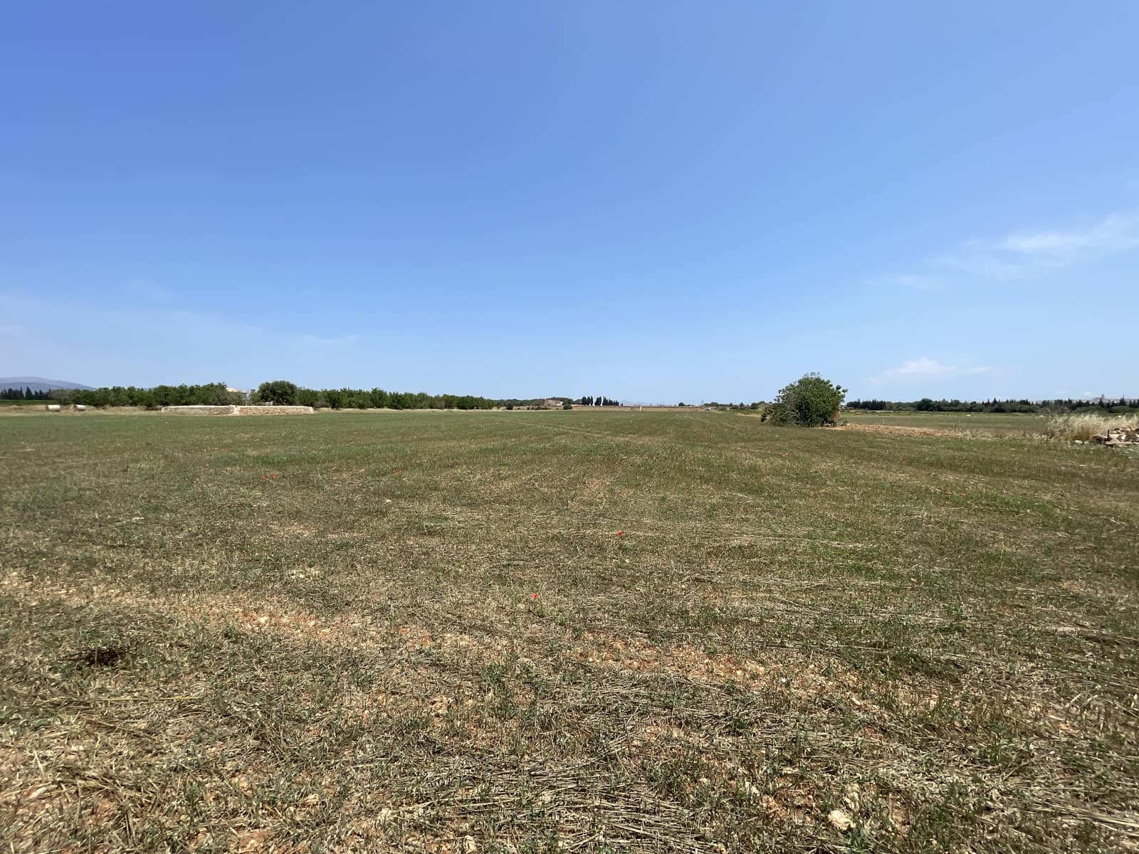 Byggegrund til salg i Llubi - € 215.000 (Ref: 8451593)