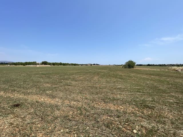 Building Plot for sale in Llubí - € 215,000 (Ref: 8451593)